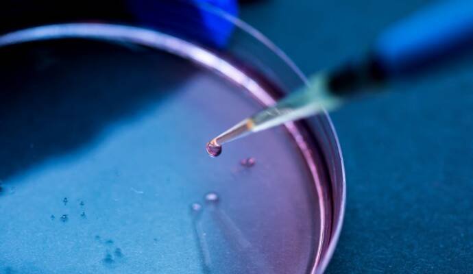 czy in vitro boli