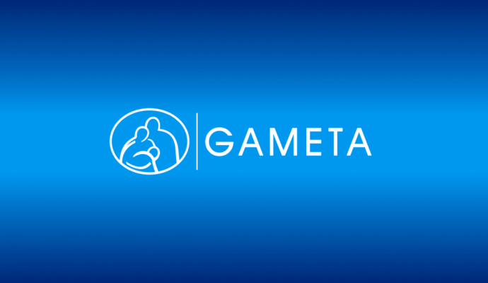 gameta logo