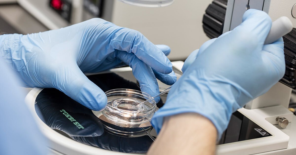 GAMETA - wszystko o in vitro