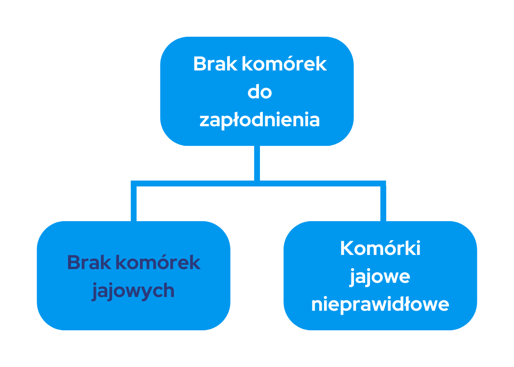 Schemat przedstawiający działanie przy braku komórek do zapłodnienia. 