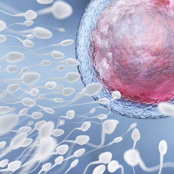 inseminacja nasieniem dawcy