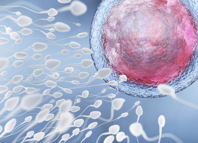 inseminacja nasieniem dawcy
