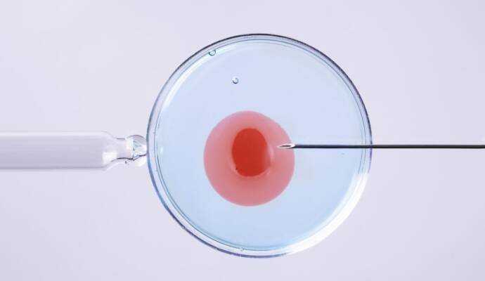 in vitro krótki czy długi protokół